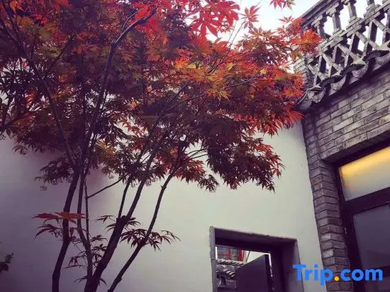 Yinlubieyuan Qinglantang