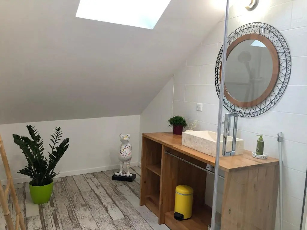 Appartement en duplex centre-ville BOHEME