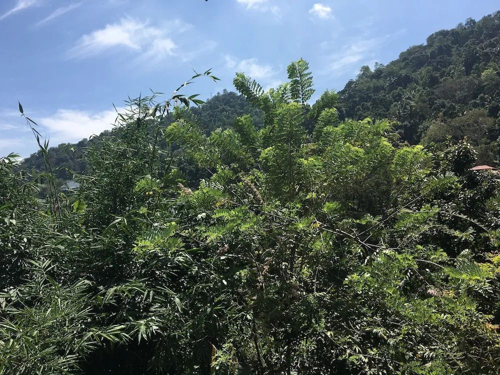 Kandy home