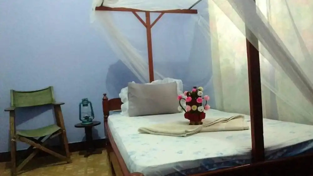 View Mountain House - Backpackers