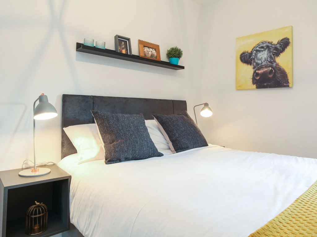 Camden Apartments Belfast