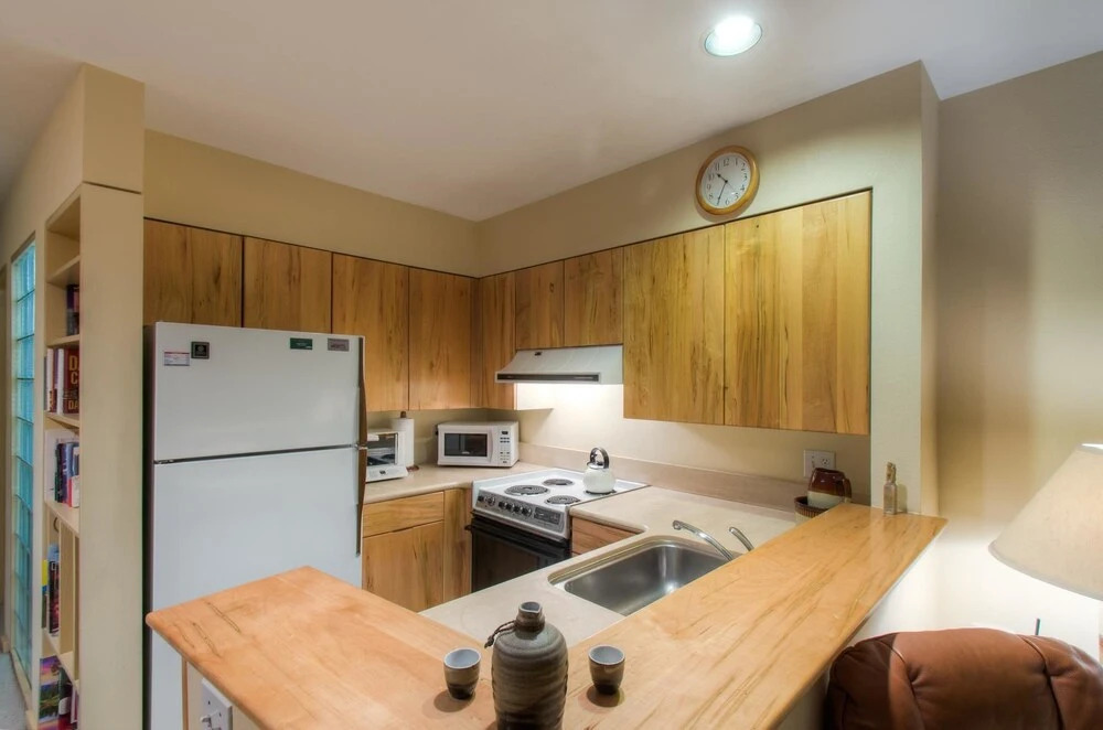 Muscatel Flats 20 1 Bedroom Condo By Accommodations in Telluride