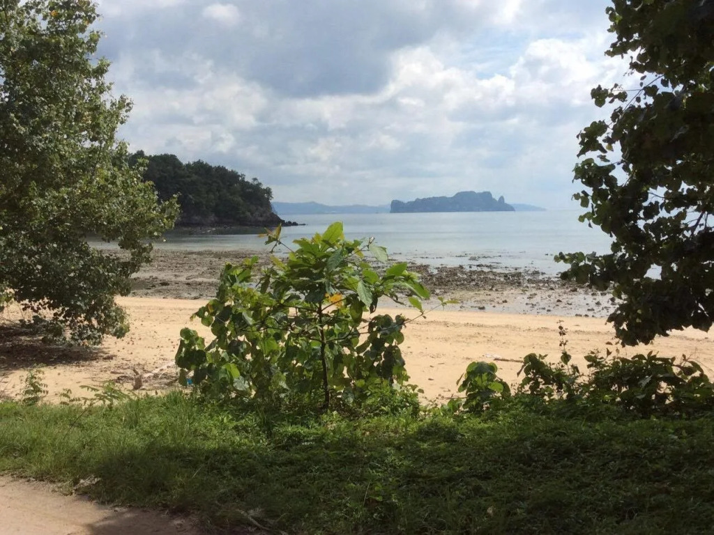 Pasai Beach Lodge