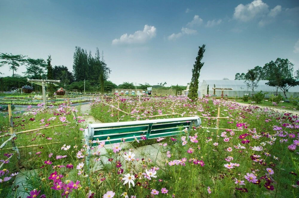 Pasutara Resort