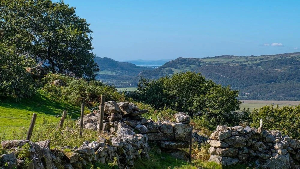 Dinas Cottage