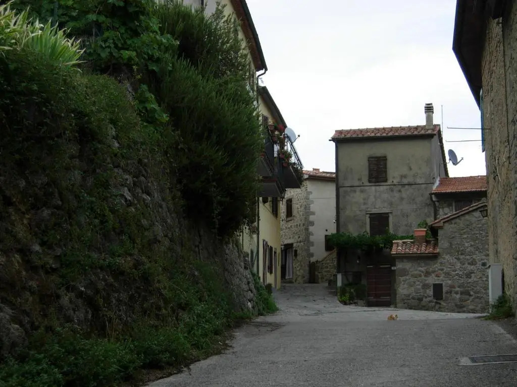 Il Pino Amiata