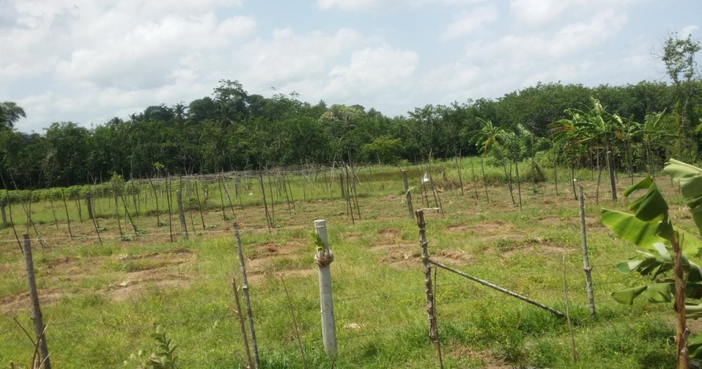 The Dale Mirissa