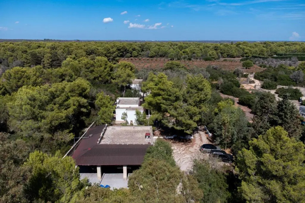 Tenuta la Saracina