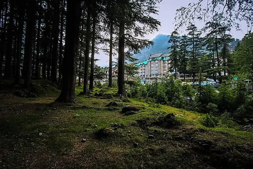 Olive County, Manali