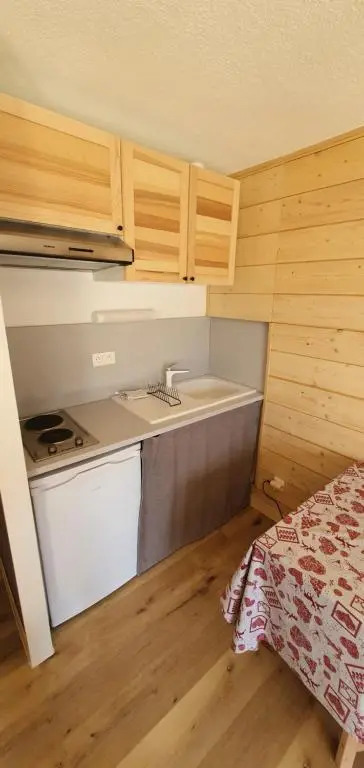 Studio de Charme Au Melezet, Les Orres. Plein Sud.