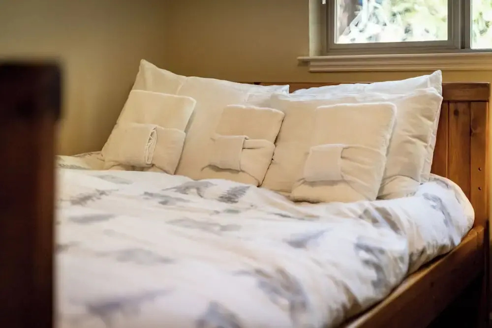 Heavenly Mountain Chalet - Skiing, Pets, Hot tub