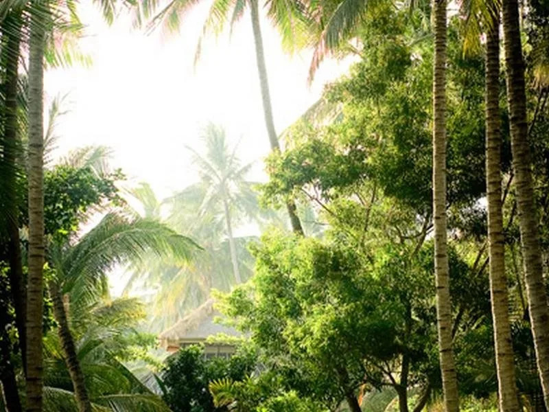 Gaia-Oasis Beach Resort