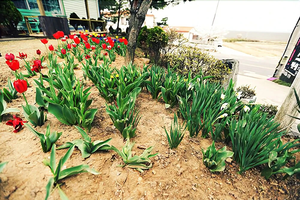 Ganghwa Provence Pension