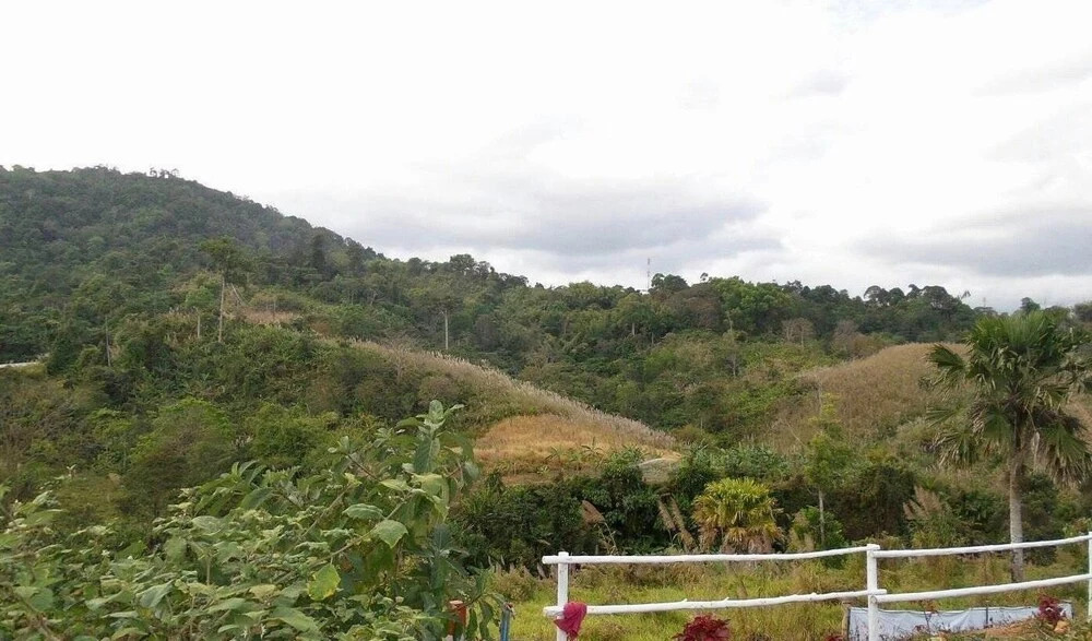 Phumarnfha Resort