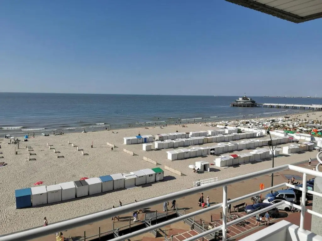 studio zeedijk blankenberge