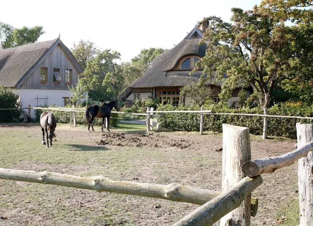 Ostseehotel Wustrow