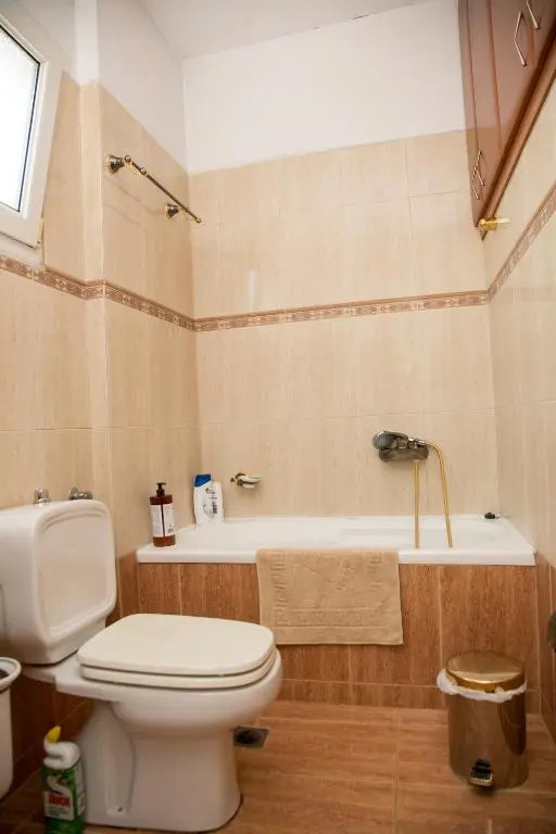Veta's spacious central apartment