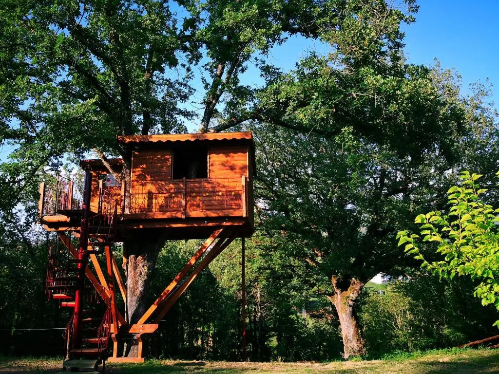Casa sull'albero Bocchineri