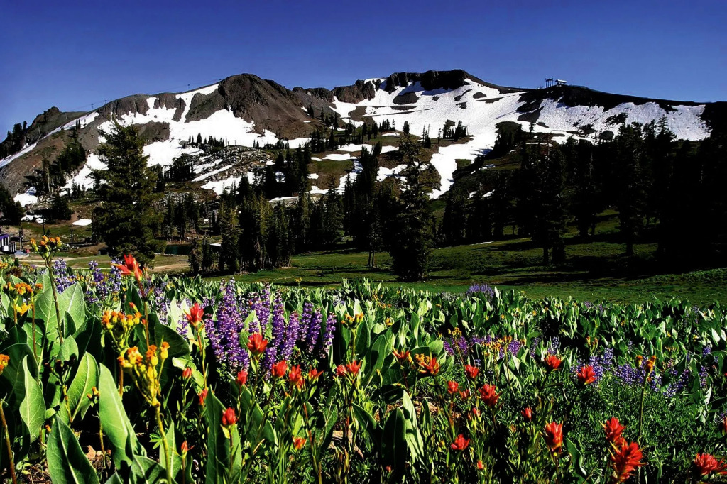 Squaw Valley Lodge