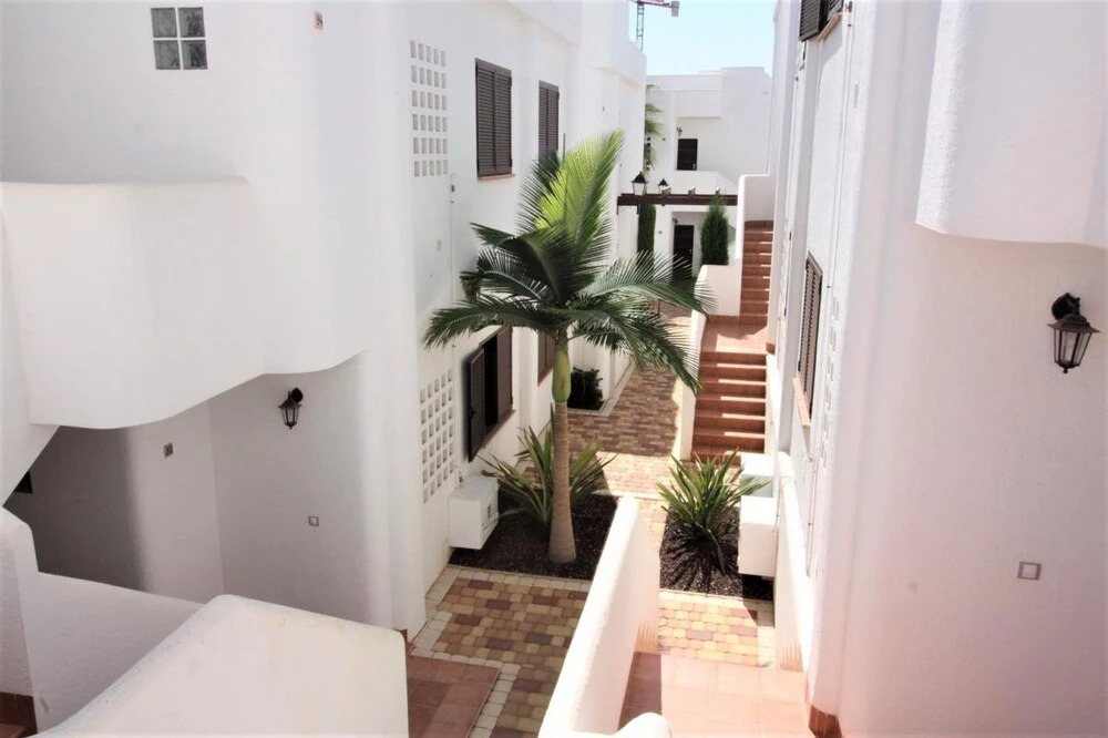Casa Pingo