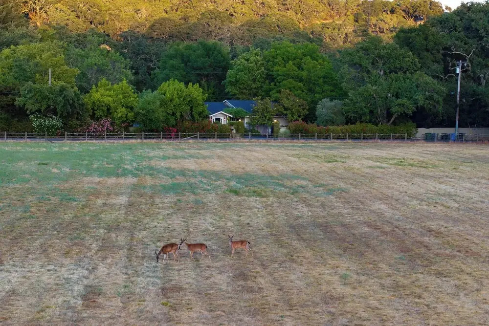 Glen Ellen Escape by Avantstay 5BR Retreat w/ Pool, Hot Tub, Hammocks & Vineyard Views