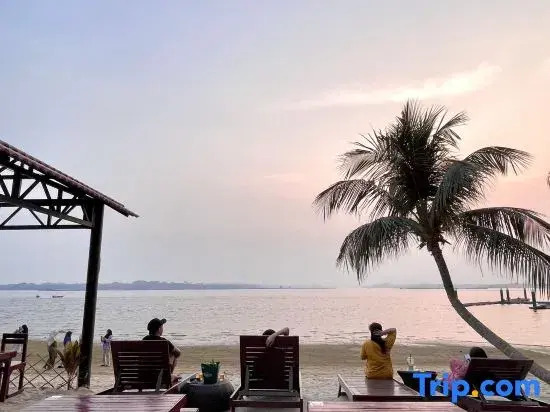Modern Seaview Country Garden Danga Bay near CIQ | 3B3B