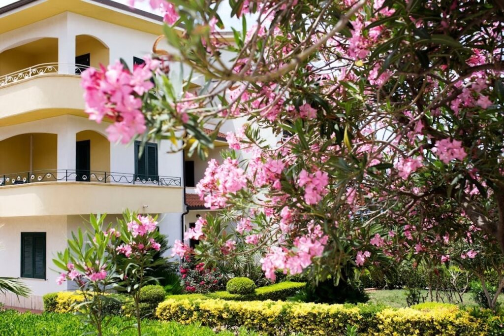 B&B Il Cavaliere Tropea