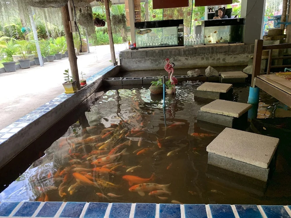 Eddy's Place