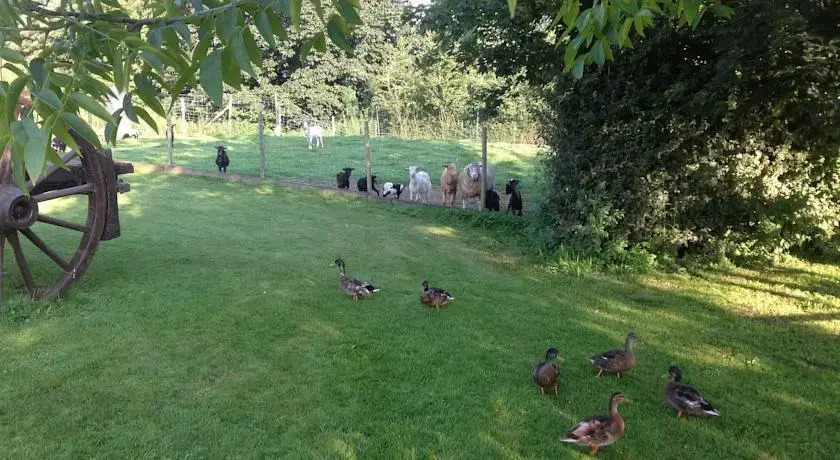 Gîte Les Lierres