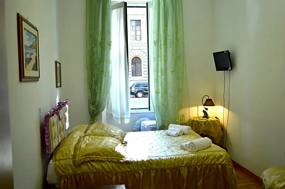 Daffodil in Roma San Pietro