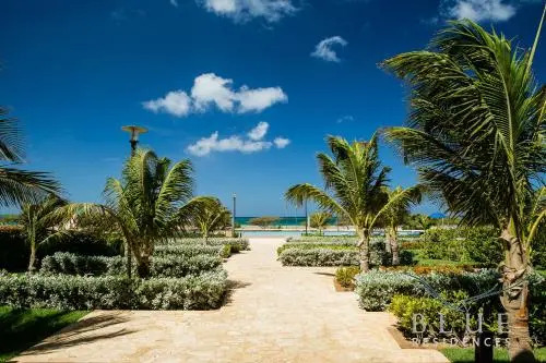 Executive Real Estate at Blue Residence