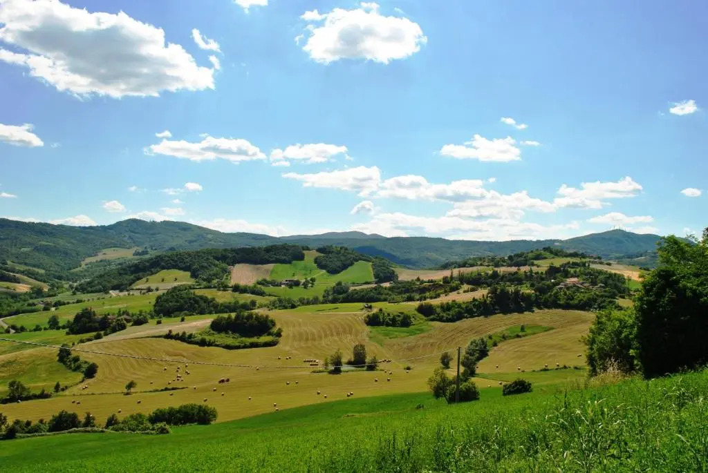 Casa Stefania, Appartamento In Collina