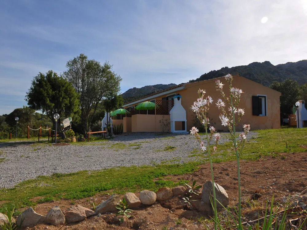 B&B Albaluccia