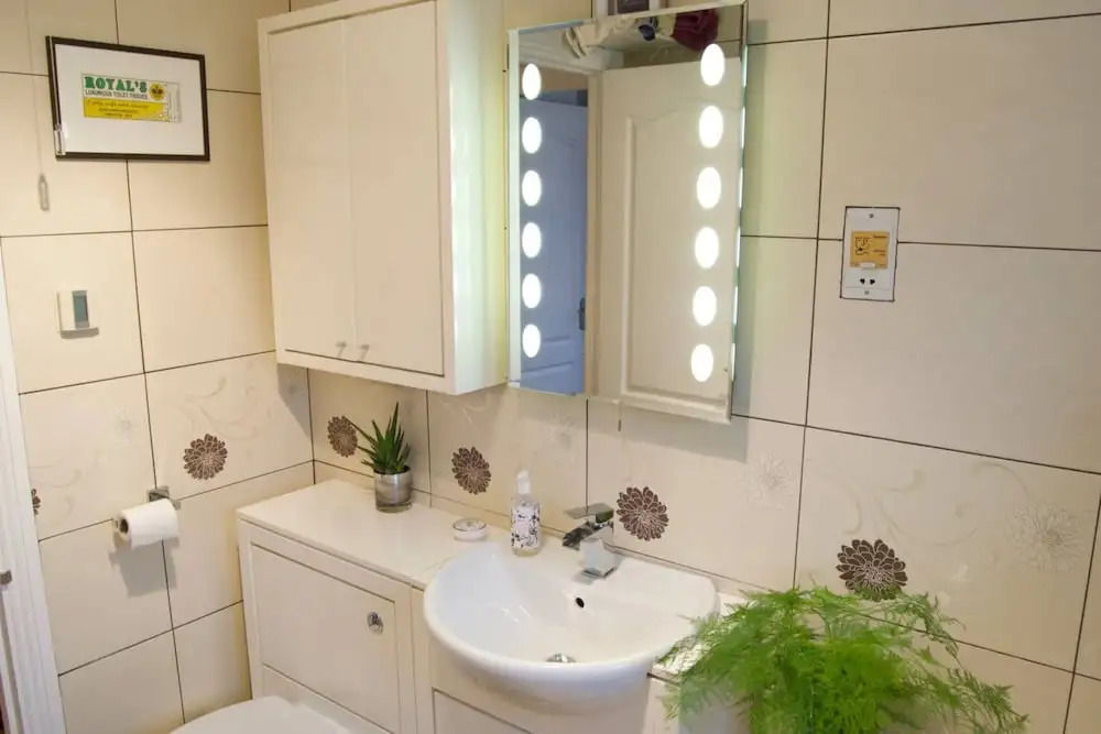 Newly Renovated 1 Bedroom Flat in New Cross Gate