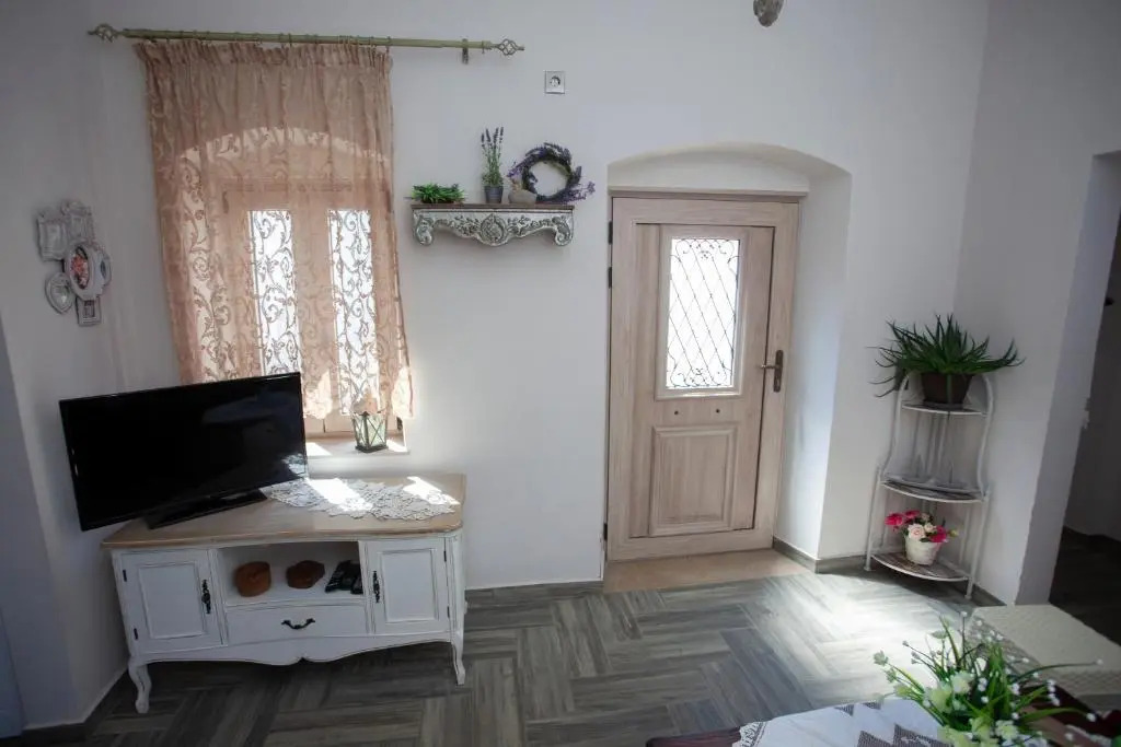 Vicky's House
