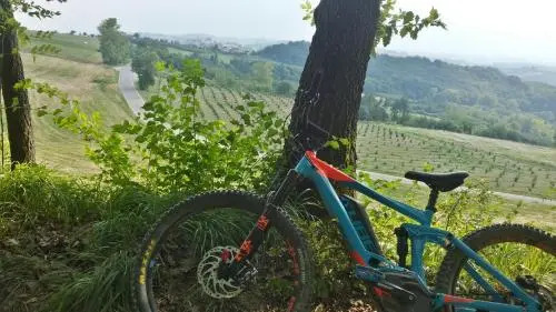 Home Sweet Langhe - Authentic Langhe Stay