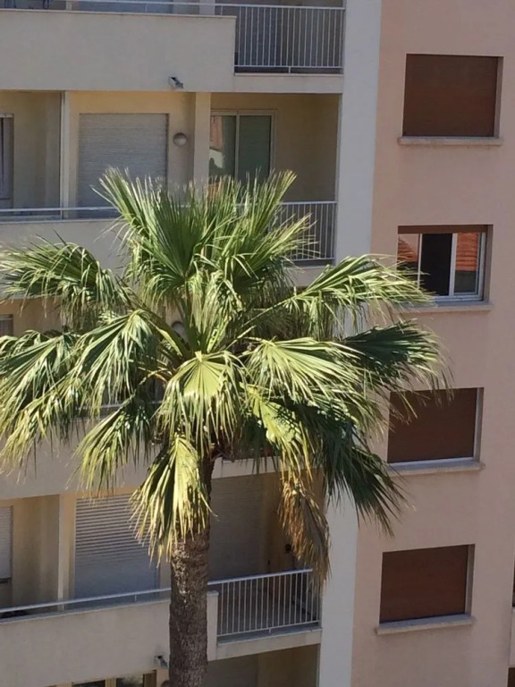 Studio Haut de Gamme - Centre Ville