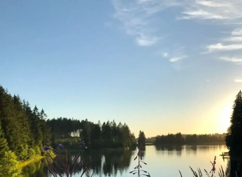 Panoramic View of Lake Harz