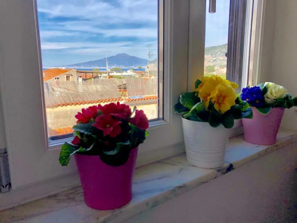 Vesuvio House appartamento indipendente e centrale