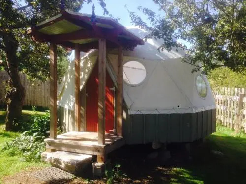 Golden Tree Hostel