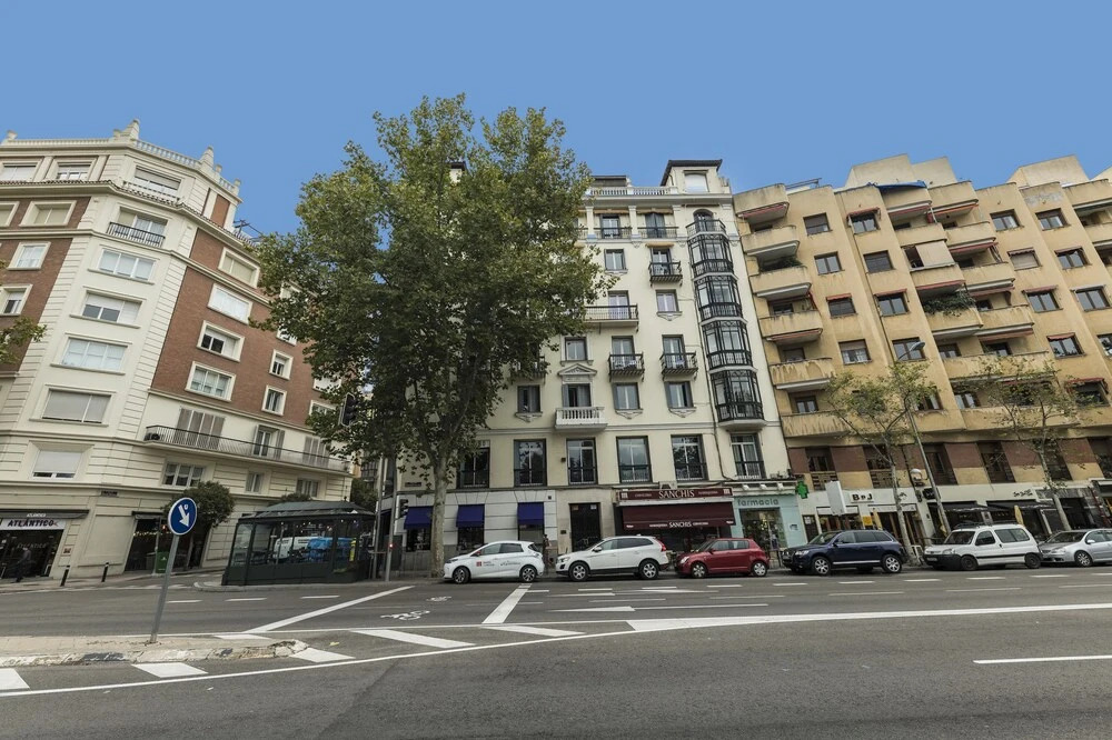 Home Club Menedez Pelayo Viii