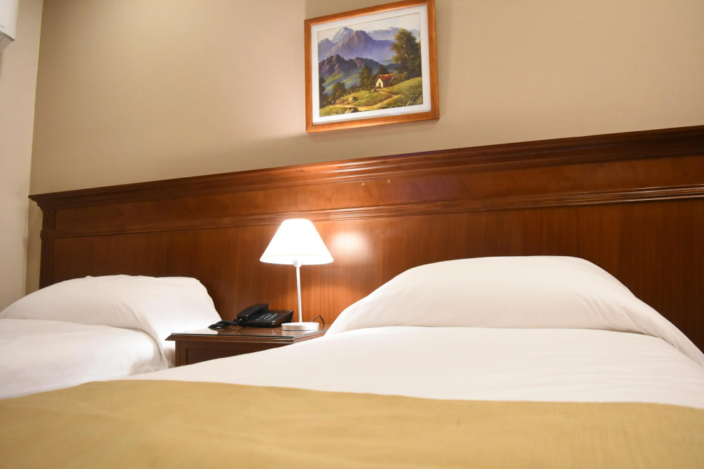 Ritz Hotel Mendoza