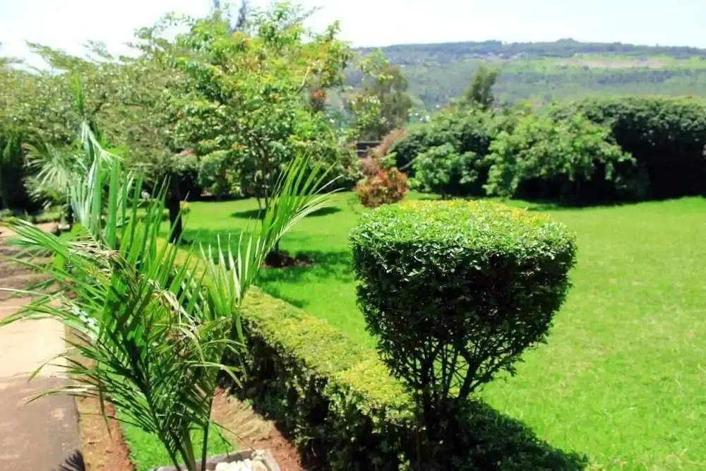 Rebero Resort