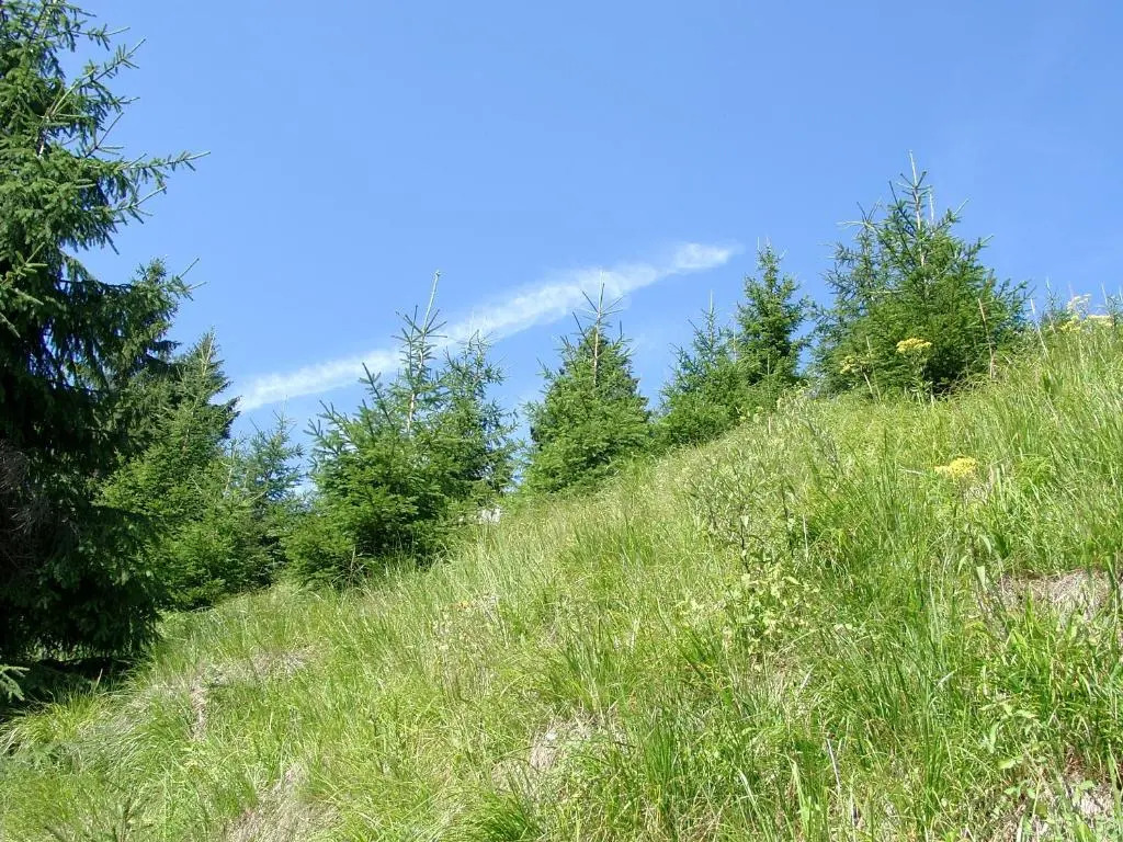 Aktiv Pension
