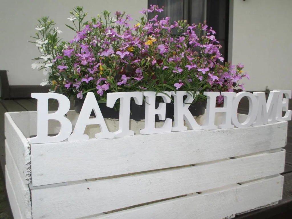 Batek Home