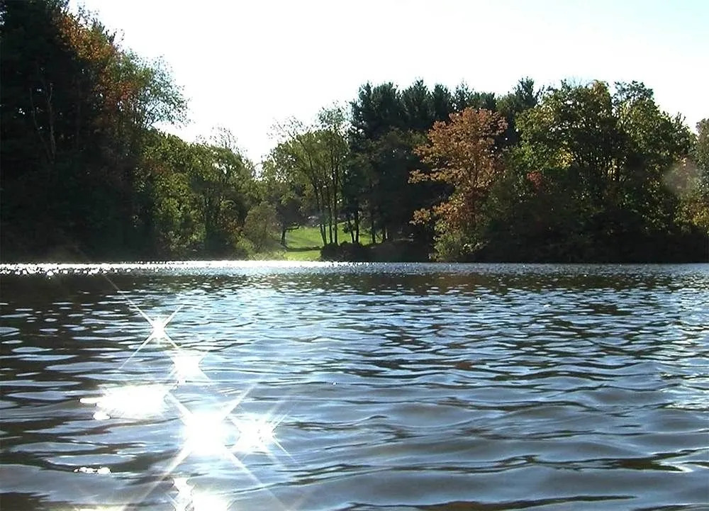 Bissell's Hideaway