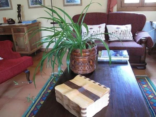 Hotel Casa Anita