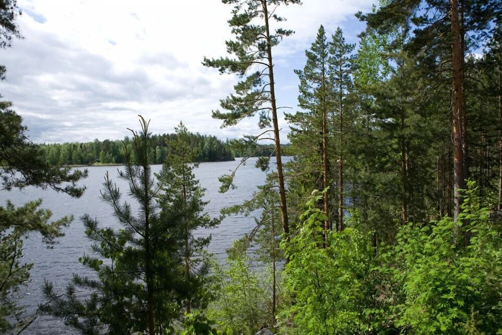 Salkolahti Tivoli