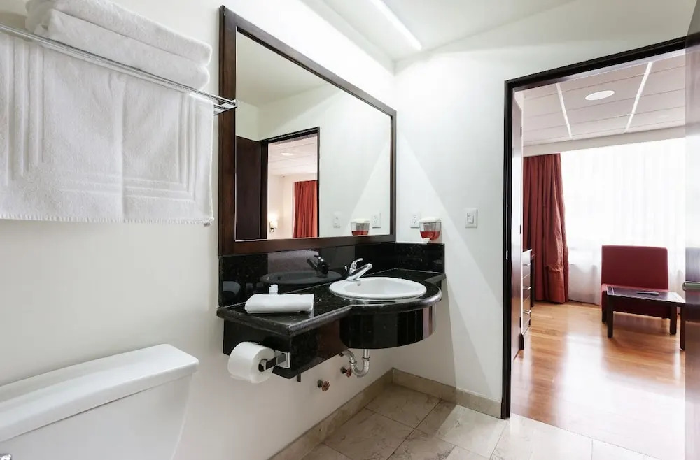 Suites Melchor Ocampo 445