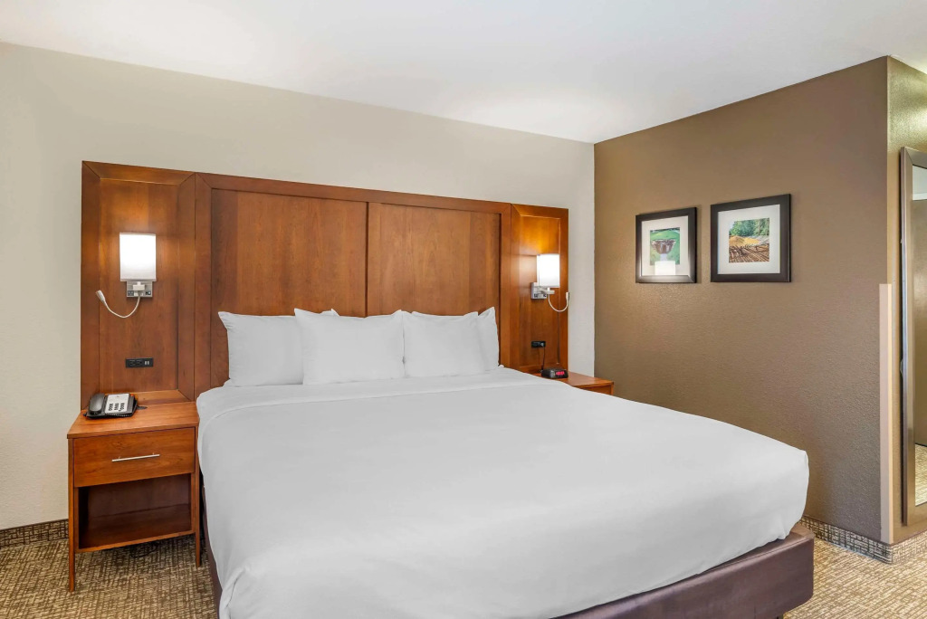 Comfort Inn Petersburg Fort Lee Area